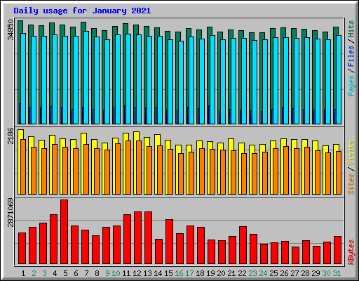 Daily usage for January 2021