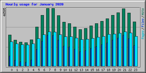 Hourly usage for January 2020