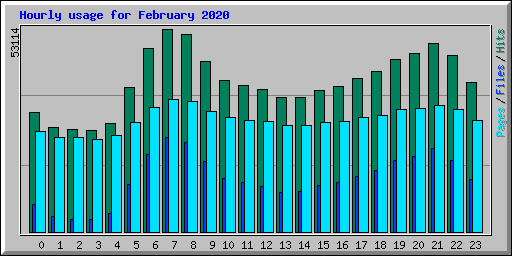 Hourly usage for February 2020