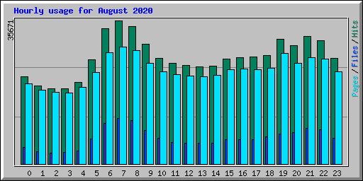 Hourly usage for August 2020