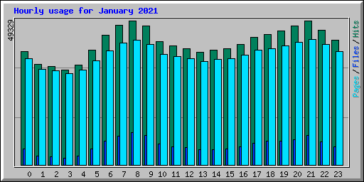 Hourly usage for January 2021
