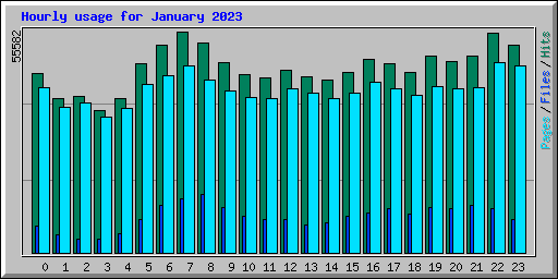 Hourly usage for January 2023
