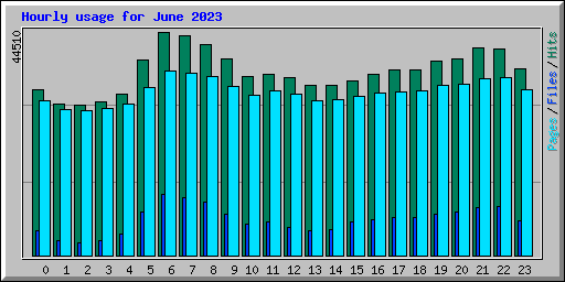 Hourly usage for June 2023